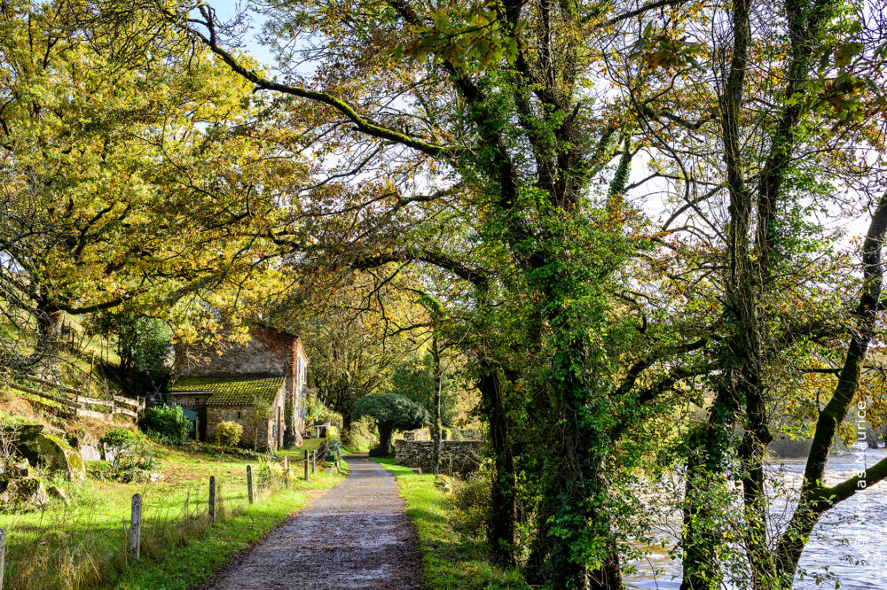 Bords de Sèvre Vendée